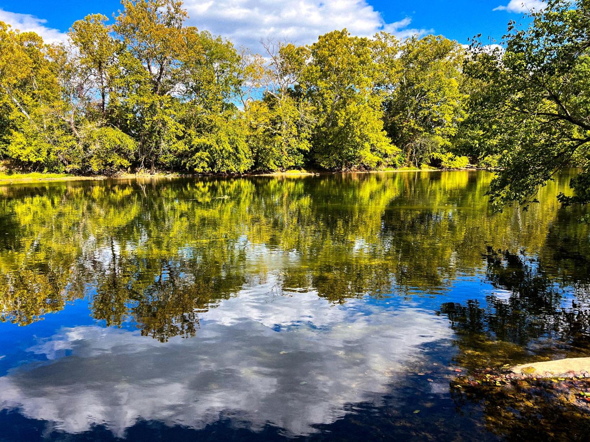 Luray Rv Resort On Shenandoah River Dış mekan fotoğraf