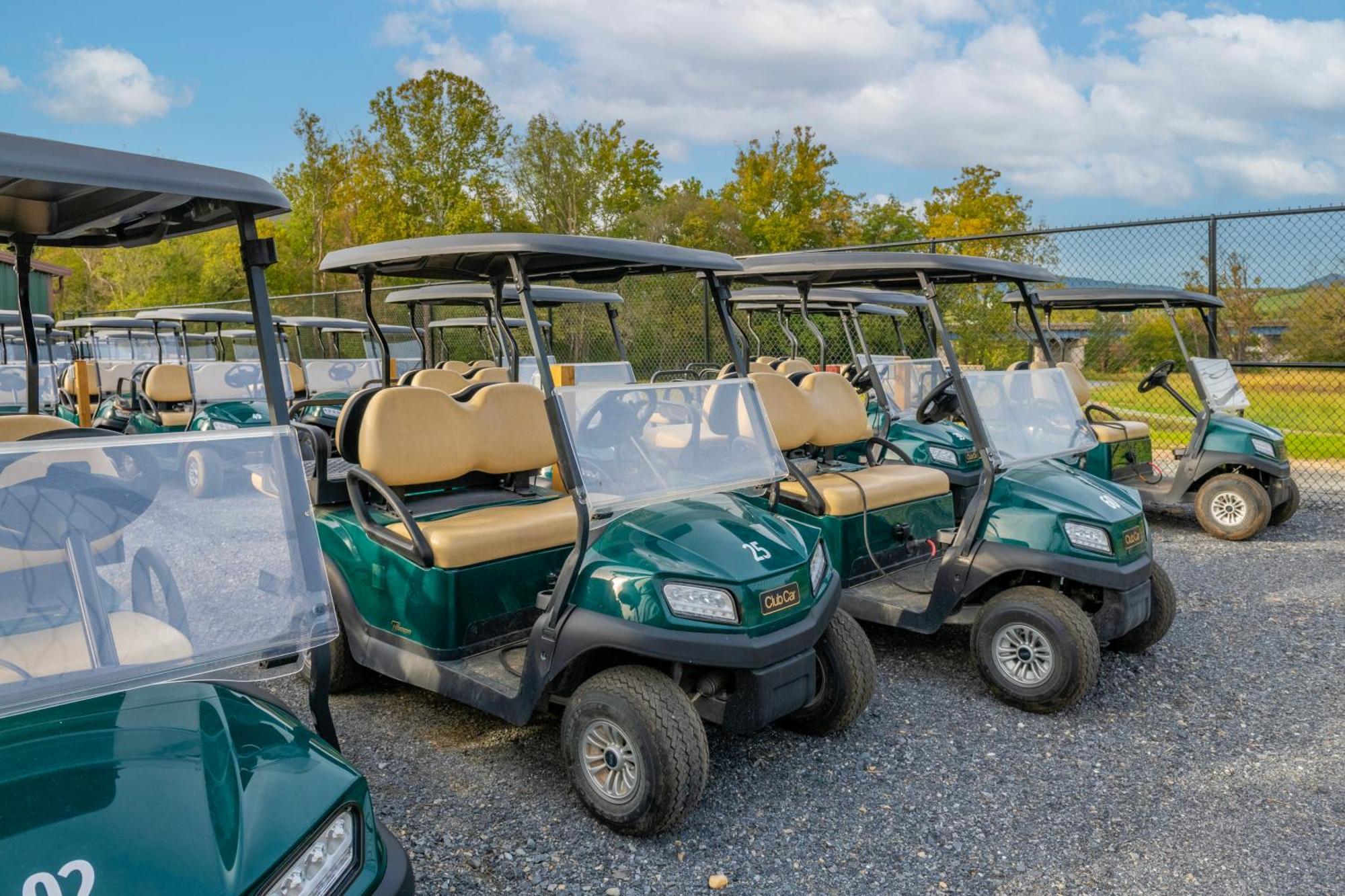 Luray Rv Resort On Shenandoah River Dış mekan fotoğraf